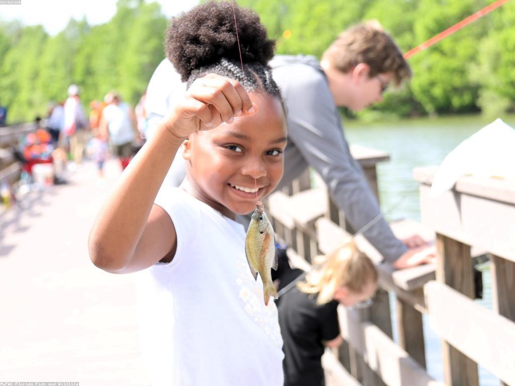 យុទ្ធសាស្ត្រនេសាទសម្រាប់អ្នកថ្មី