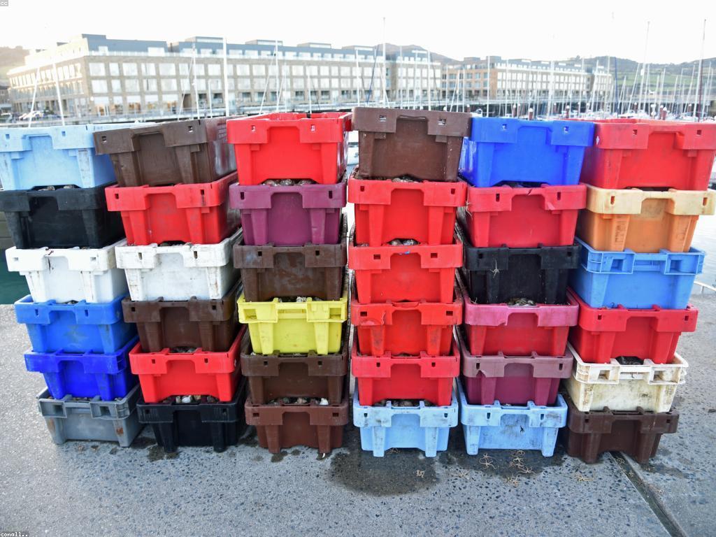 យុទ្ធសាស្ត្រនេសាទសំរាប់អ្នកនេសាទថ្មី