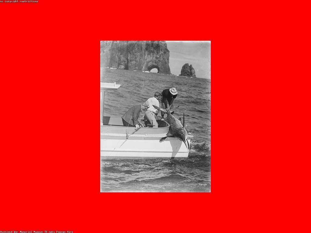 ហ្គេមនេសាទល្បី: ការស្វែងរកភាពសប្បាយនៃការនេសាទ