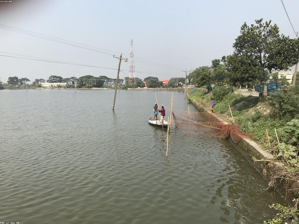 យុទ្ធសាស្ត្រនេសាទសម្រាប់ការអនុវត្តន៍យូរ ក្នុងការនេសាទ