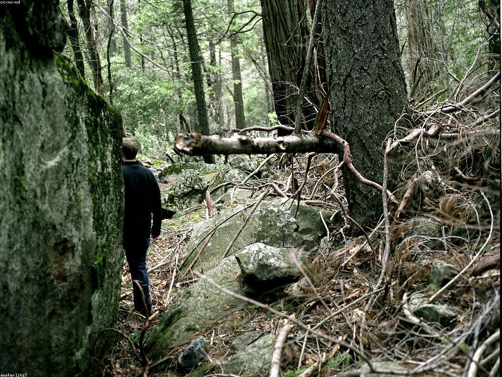 បច្ចេកវិទ្យានេសាទ: ការប្រើប្រាស់និងអនាគត