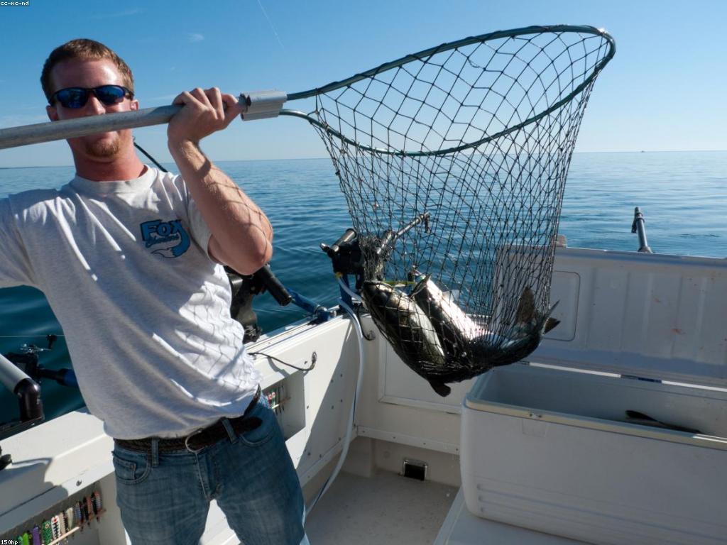 យុទ្ធសាស្ត្រនេសាទកម្រិតជោគជ័យ