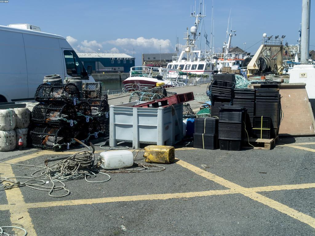 យុទ្ធសាស្ត្រនេសាទ: គន្លឹះសម្រាប់ការនេសាទជោគជ័យ