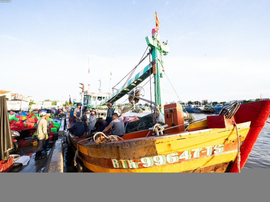 យុទ្ធសាស្ត្រនេសាទកម្រិតក avanzado