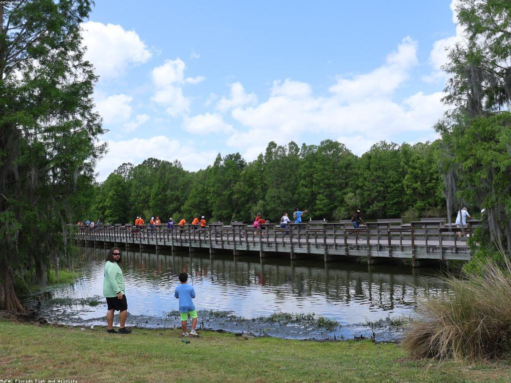 សកម្មភាពនានានៅព្រឹត្តិការណ៍នេសាទ